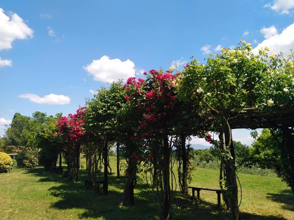 Locanda Rosati Orvieto Exterior foto