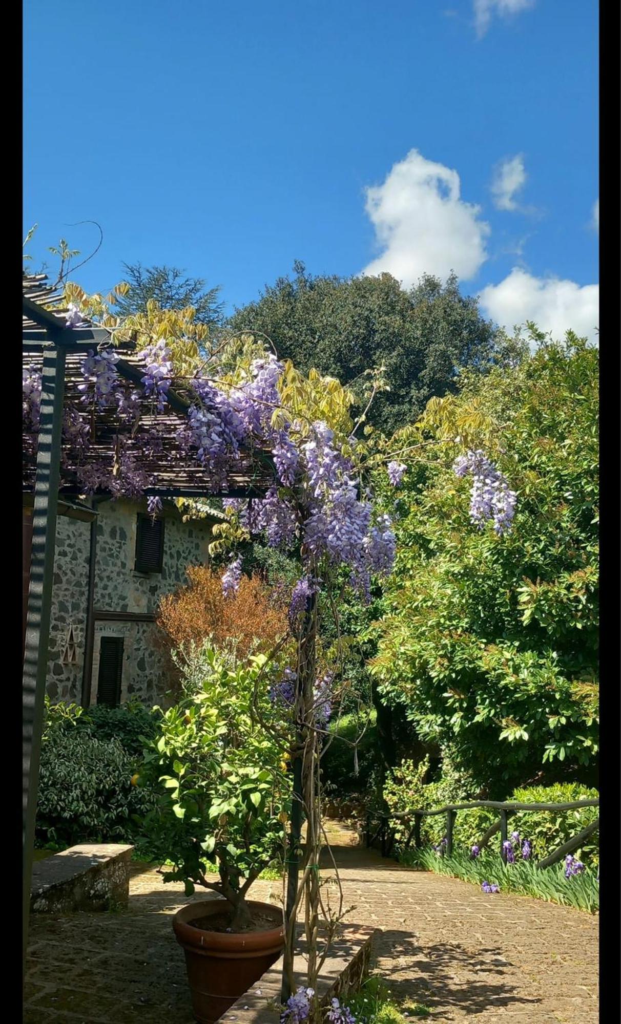Locanda Rosati Orvieto Exterior foto